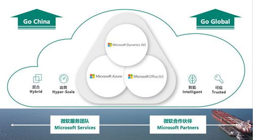 微軟智能商業(yè)云中國(guó)區(qū)戰(zhàn)略解析 Dynamics 365 發(fā)布會(huì)獨(dú)家揭秘與軟件開發(fā)新機(jī)遇